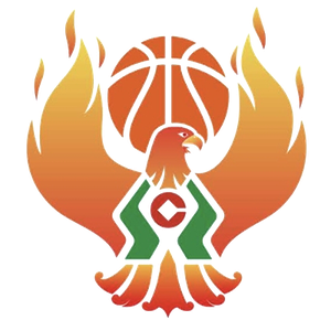 https://img.beijingdiping.com/img/basketball/team/09b49d34027e0409a4de3295f8c71a2d.png