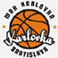 https://img.beijingdiping.com/img/basketball/team/0c2f73d2ab7041cf90029a20deff7f17.gif