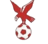 https://img.beijingdiping.com/img/football/team/4802d26df935b78bb2fcdbbff36e8864.png