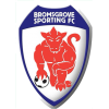 https://img.beijingdiping.com/img/football/team/7537ed874ffe46890fcf9fc9547e0ba5.png