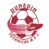 https://img.beijingdiping.com/img/football/team/94cfab0be8aab0fc0466a24c4984df42.png