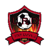 https://img.beijingdiping.com/img/football/team/cc078f958eb5a1292e3a9e537d9c90a5.png