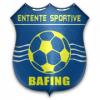 https://img.beijingdiping.com/img/football/team/e87340e0732a9f94db6e6c7ad6c6cf30.png